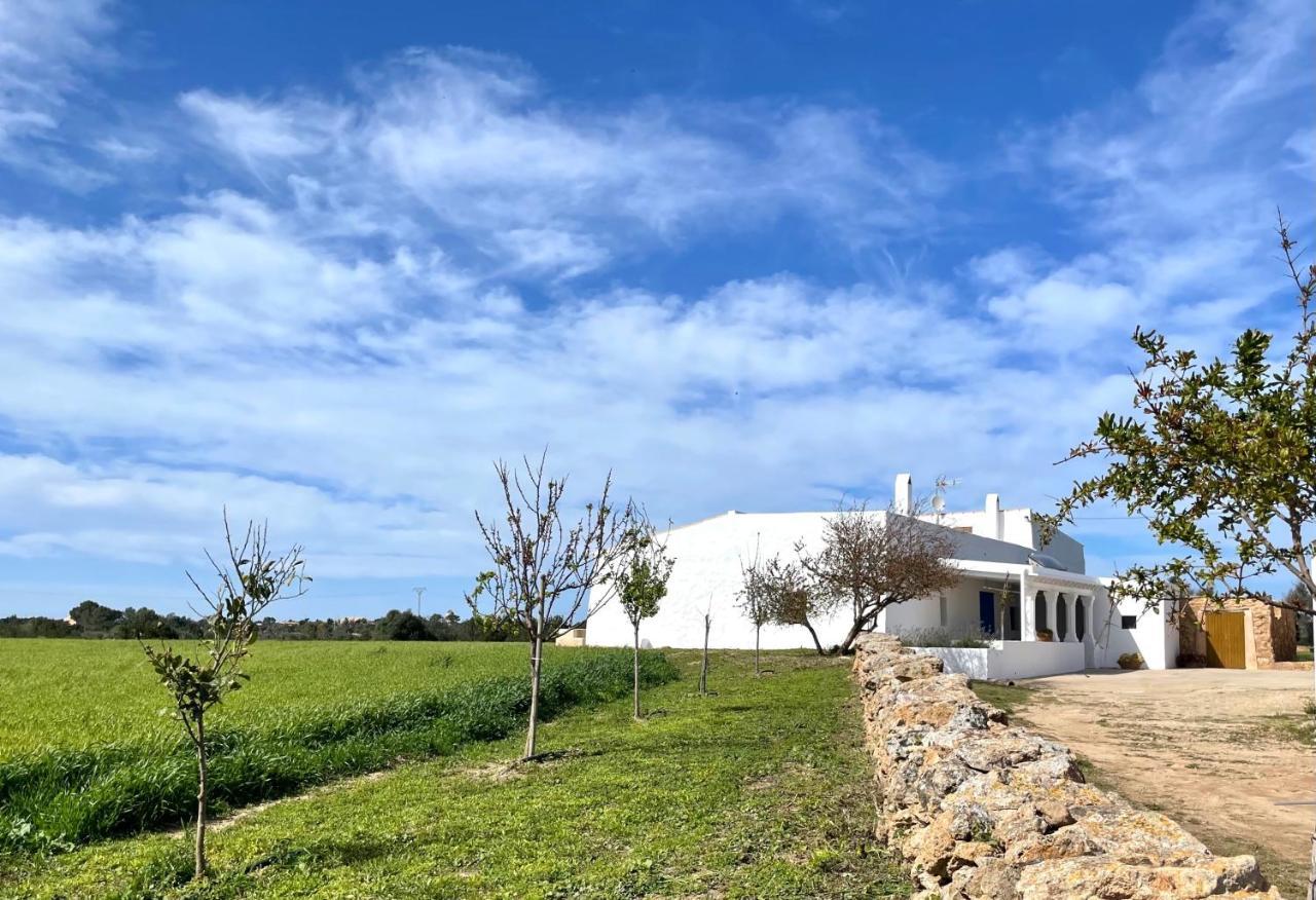 Can Marianet San Ferrán de ses Roques Dış mekan fotoğraf